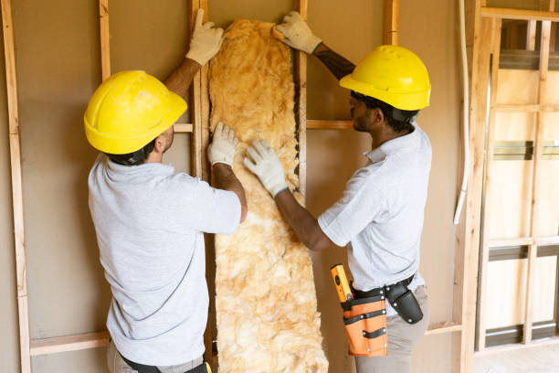 Best Radiant Barrier Insulation  in South Pasadena, FL